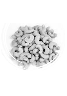 maglietta Nuts
