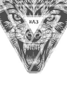 maglietta wolf NA3