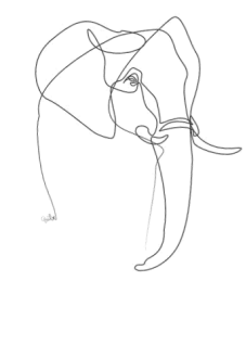 maglietta Elephant E-TeeShirt