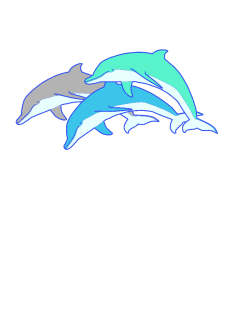 maglietta Dolphins