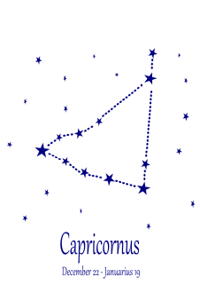 maglietta Capricorno