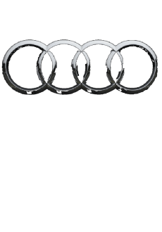 maglietta audi logo