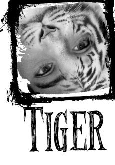 maglietta Tigre