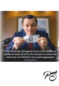 maglietta The wolf of wall street! 