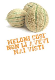 maglietta Meloni Mai Visti