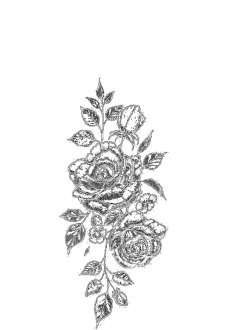 maglietta roses