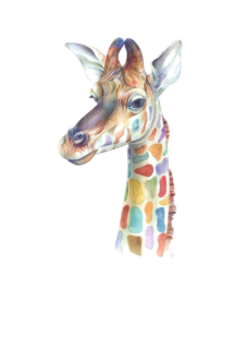 maglietta Giraffa 