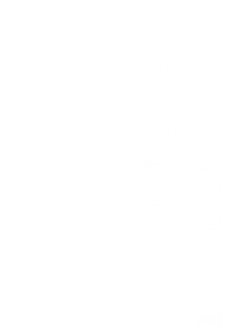 maglietta written