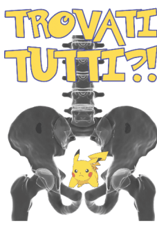 maglietta POKEMON OVUNQUE