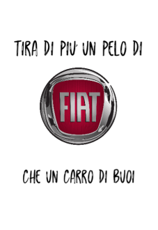 maglietta fiat