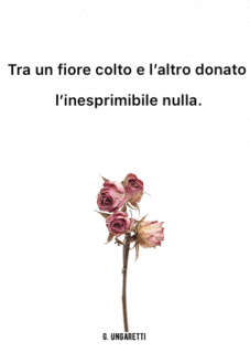 maglietta Poetic One