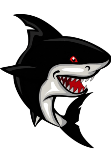 maglietta shark
