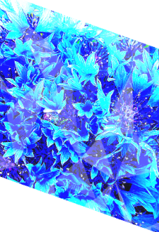 maglietta Blue Flowers T