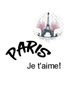 maglietta Paris