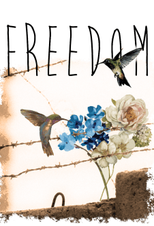 maglietta freedom