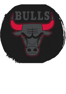 maglietta bulls