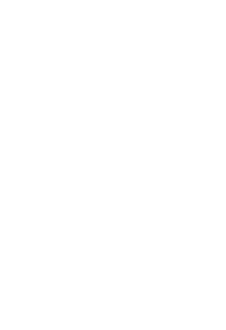 maglietta Daigas - Adidas style