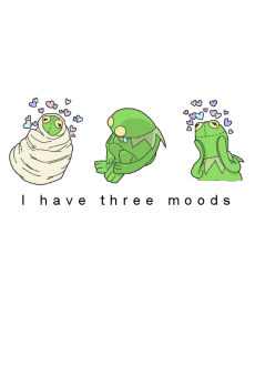 maglietta Kermit three moods
