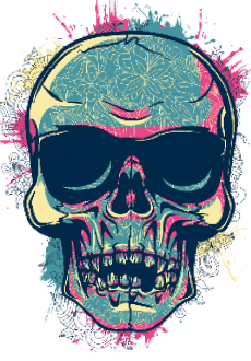 maglietta artskull