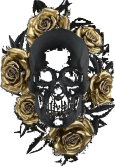 maglietta skull and rose