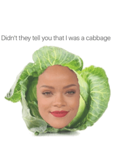 maglietta cabbage