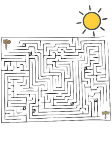 maglietta labirinto 