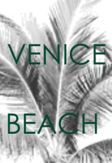 maglietta VENICE BEACH 