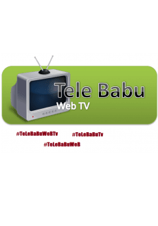 maglietta Gadget TeLeBaBuWeBTv 