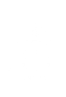 maglietta MAGIC - Lega Pauper Pirata