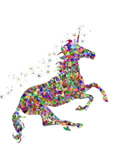 maglietta unicorn