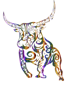 maglietta toro