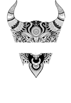 maglietta bulls