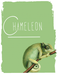 maglietta CHAMELEON