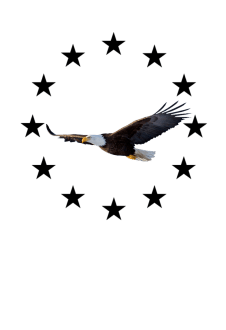 maglietta Eagle flight