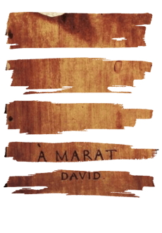 maglietta À Marat, David