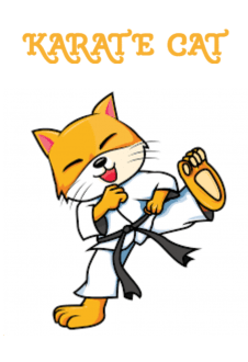 maglietta karate cat