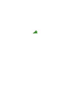 maglietta team pandoro