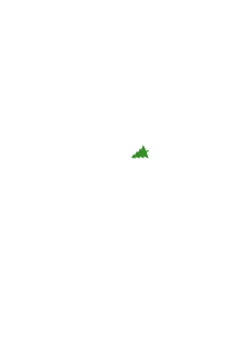 maglietta canditi