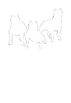 maglietta Pitbull 