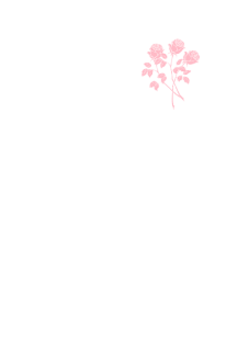 maglietta rose 2