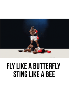 maglietta fly like a butterfly sting like a bee