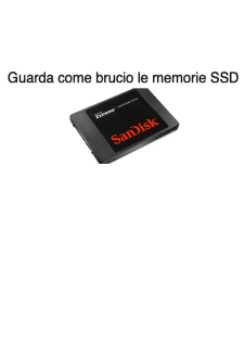 maglietta SSD