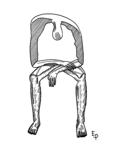 maglietta ALBERT GYÖRGY 