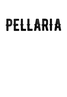 maglietta #PELLARIA