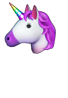 maglietta unicorn