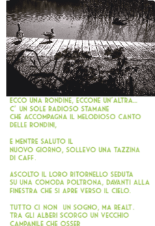 maglietta ????