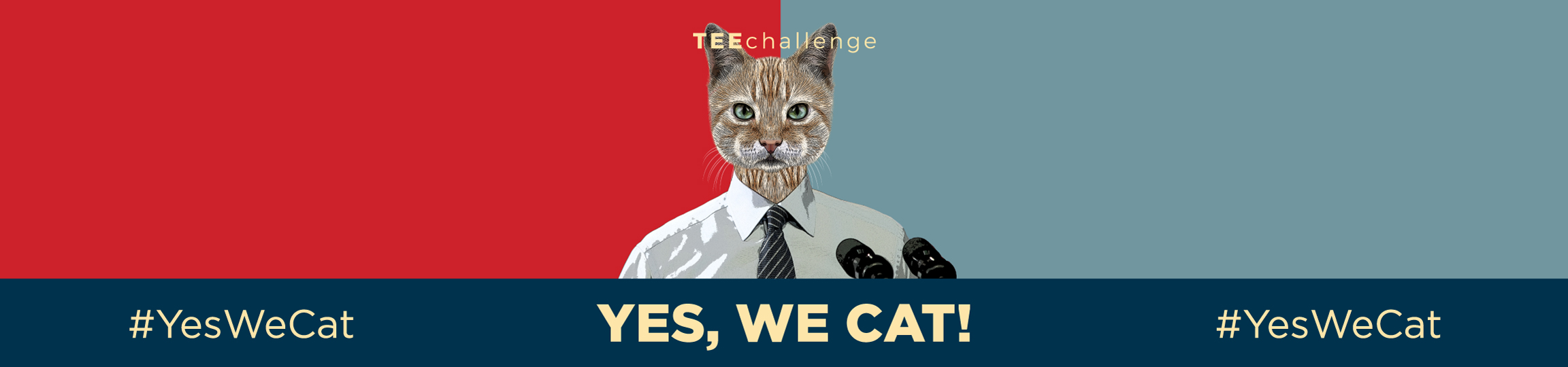Teechallenge YES WE CAT Banner Desktop